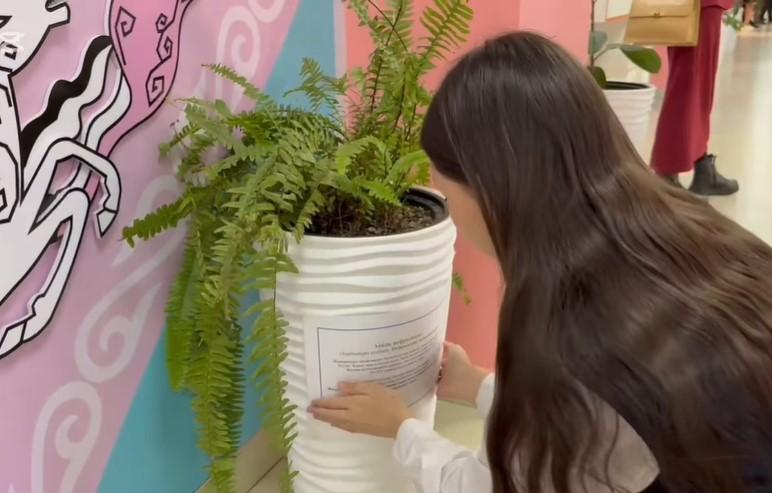 Өсімдіктерді білу – табиғатты сүюдің алғашқы қадамы!