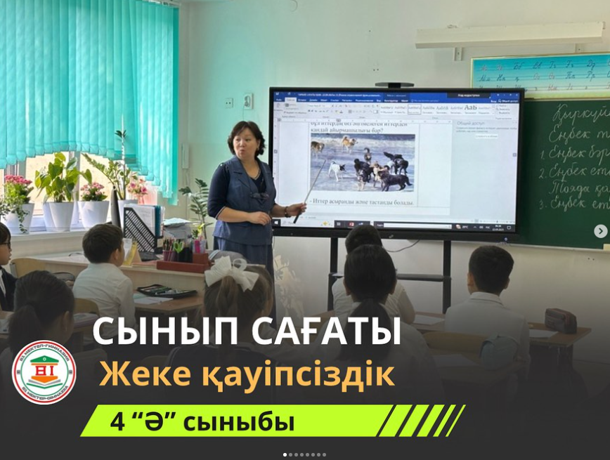 «Көшеде қаңғыбас итті кездестірген кездегі сақтық шаралары»