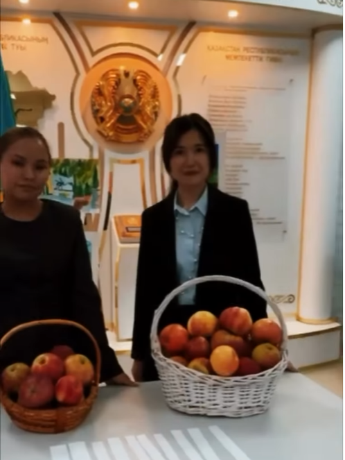 “Алматының апорты” тақырыбында акция